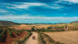 Buen Camino Trailer