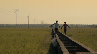 Bugs Trailer