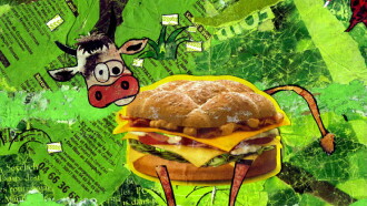 Burger Burp's & the Happy Farmer Trailer