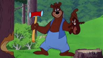 Busybody Bear Trailer