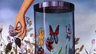 Butterfly Trailer