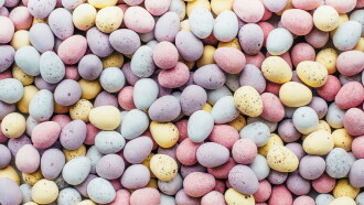 Cadbury at Easter: Secrets of the Chocolate Factory Trailer