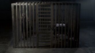 Cage Trailer