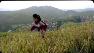 Caijin Trailer