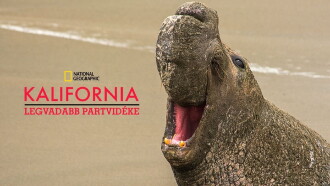 California's Wild Coast Trailer