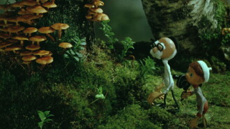Cameraman Kõps in Mushroomland Trailer