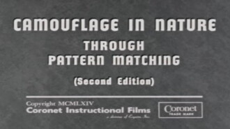 Camouflage In Nature: Through Pattern Matching (Second Edition) Trailer