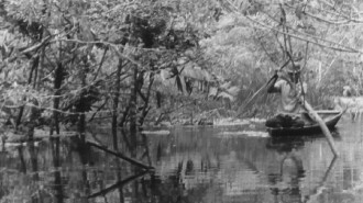 Canción al viejo fisga que acecha en los lagos amazónicos Trailer