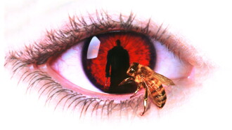 Candyman Trailer