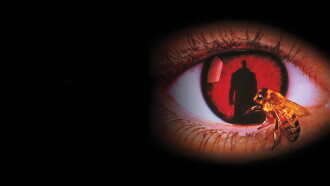 Candyman Trailer