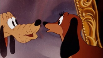Canine Casanova Trailer