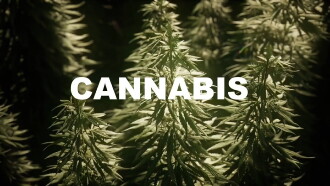 Cannabis Trailer
