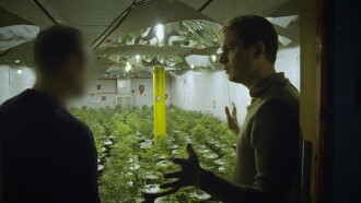 Cannabis illégal Trailer
