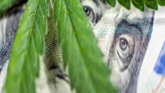 Cannabis : quand le deal est légal Trailer