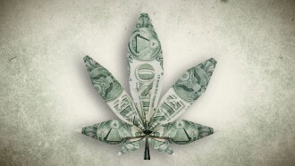 Cannabis : quand le deal est légal Trailer