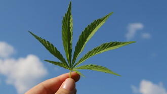 Cannabis sur ordonnance Trailer
