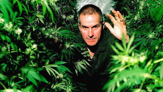 Cannabis: The Evil Weed? Trailer