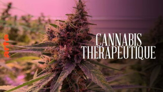 Cannabis thérapeutique, l’herbe de la controverse Trailer
