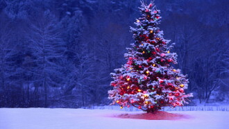Canto di Natale Trailer