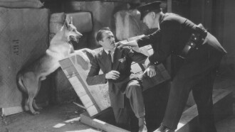 Captured in Chinatown Trailer