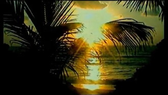 Caribbean Sunrise Trailer