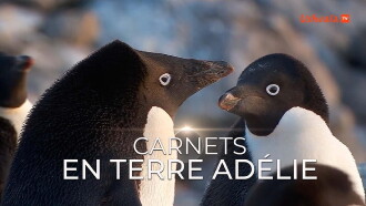 Carnet de Terre Adélie Trailer