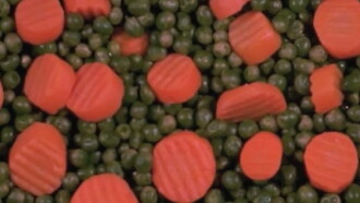 Carrots & Peas Trailer