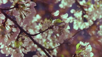 Cascade Trailer
