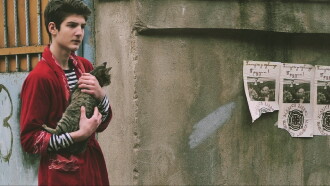Cat Trailer