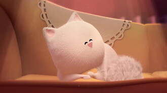 Cat and Moth Trailer