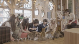Cat Cafe Trailer