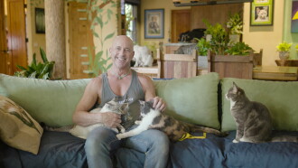 Cat Empire Trailer