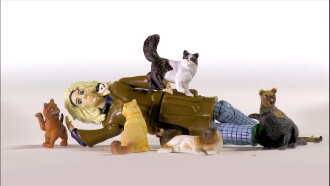 Cat Ladies Trailer