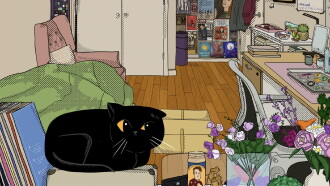 Cat 'n The Box Trailer