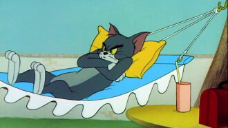 Cat Napping Trailer