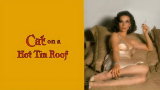 Cat on a Hot Tin Roof Trailer