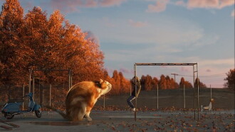 Catisfaction Trailer