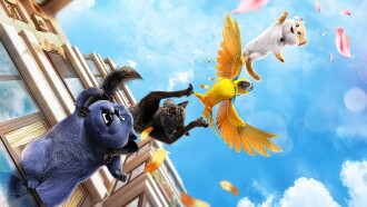 Cats Trailer