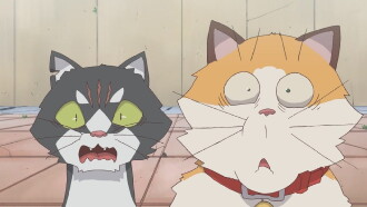 Cats Run Trailer