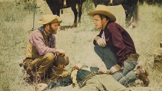 Cattle Stampede Trailer