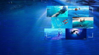 Caught! When Sharks Attack Trailer