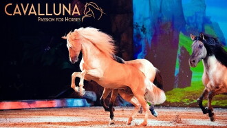Cavalluna - Welt der Fantasie Trailer