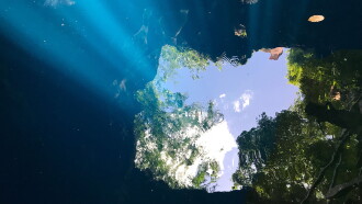 Cenote Trailer