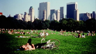 Central Park Trailer