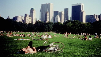 Central Park Trailer