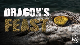 Chasing the Giant Croc Trailer