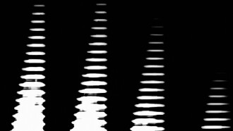 Chasmic Dance Trailer