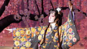 Cherry Blossoms / Secret Hunter -There's Nothing in This World I Can't Steal- Trailer