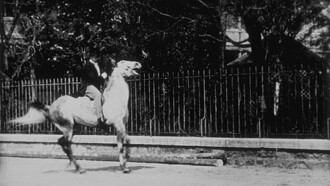 Cheval de haute école, I Trailer