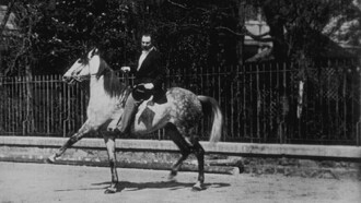 Cheval de haute école, II Trailer